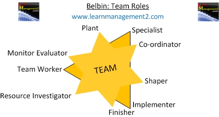 belbin-s-team-roles